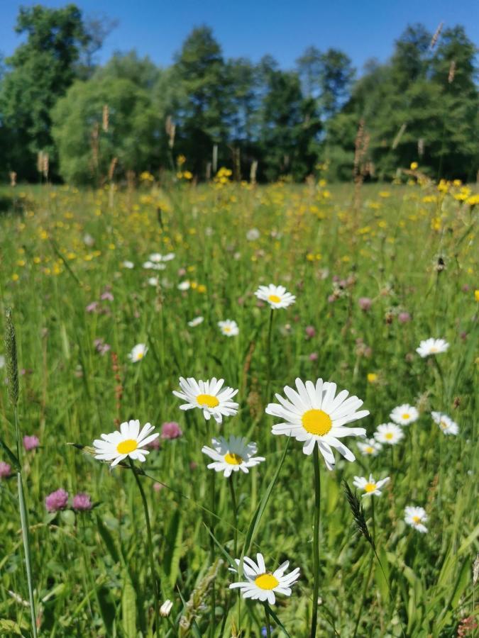 Landhotel Oelmuehle Mombris Eksteriør bilde